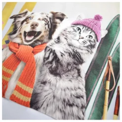 Enfant Molo Sweats|Sweat Maxi Going Skiing Coton Bio |