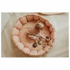 Play and Go Tapis d'éveil Coco - Fleuri Multicolore New