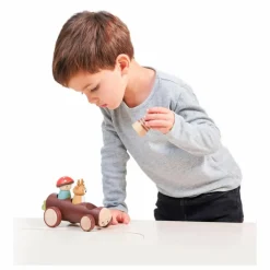Tender Leaf Toys Taxi des animaux de la forêt Multicolore
