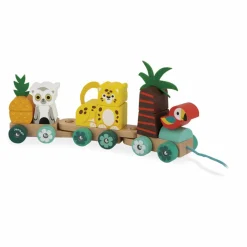 Janod Train Tropical à tirer Multicolore Outlet