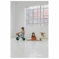 Best Banwood Tricycle en métal et bois | Vert