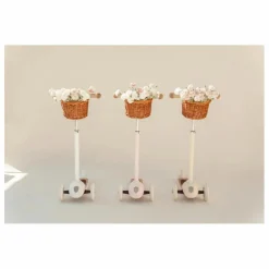 Banwood Trottinette |