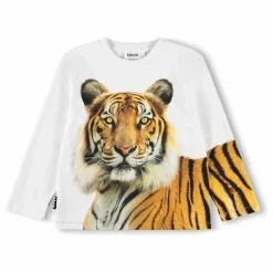 New Molo T-shirt Rollo Tigre Coton Bio | Blanc