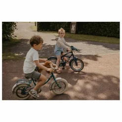 New Wild & Soft Tête de trottinette Lion | Brun