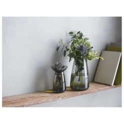 Kinto Vase en verre Aquaculture |