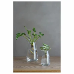 Kinto Vases, Objets Déco|Vase en verre Aquaculture |