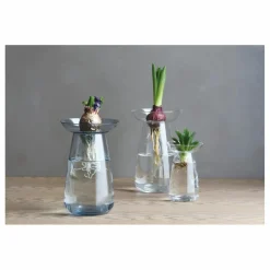 Kinto Vases, Objets Déco|Vase en verre Aquaculture |