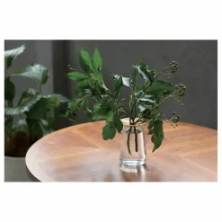 Kinto Vase en verre Luna | Transparent