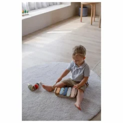 Plan Toys Xylophone Tendresse Multicolore Best